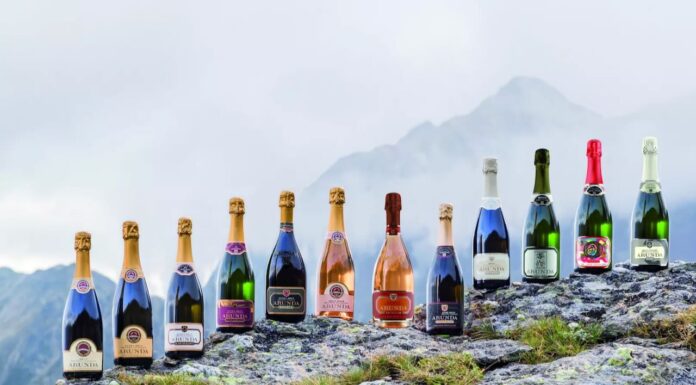 Reportage tra Vignaioli e Cantine del Burgraviato – Seconda Parte