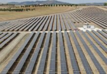 Decreto Agricoltura ricco di …. novità