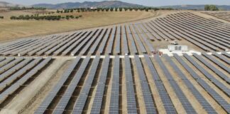 Decreto Agricoltura ricco di …. novità