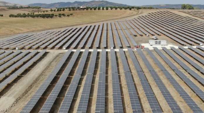 Decreto Agricoltura ricco di …. novità