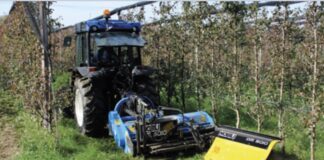 Vigneti. Il diserbo meccanico secondo Nobili spa.