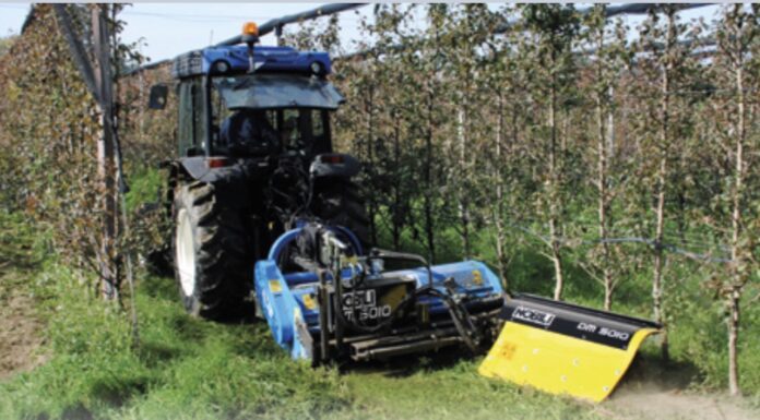 Vigneti. Il diserbo meccanico secondo Nobili spa.