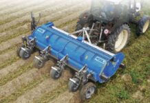 No erbicidi. Il diserbo meccanico della patata secondo Nobili Spa