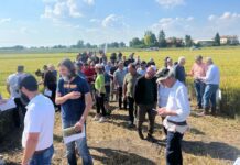 Nell’anno critico per i cereali, l’edizione di Demo Frumento 2024 del Consorzio Agrario registra il record di partecipanti