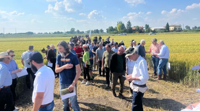 Nell’anno critico per i cereali, l’edizione di Demo Frumento 2024 del Consorzio Agrario registra il record di partecipanti