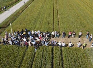 “Cereali e dintorni”. In partenza il rally rialzista.