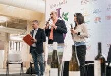 Amphora Revolution edizione zero