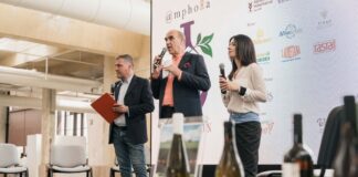 Amphora Revolution edizione zero