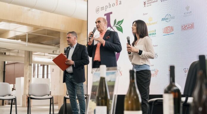 Amphora Revolution edizione zero