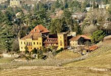 Reportage tra Vignaioli e Cantine del Burgraviato