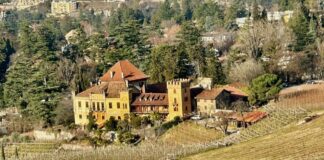 Reportage tra Vignaioli e Cantine del Burgraviato