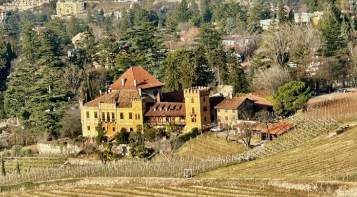 Reportage tra Vignaioli e Cantine del Burgraviato
