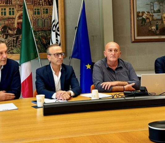 Il PARMIGIANO REGGIANO si conferma la più importante DOP ottenuta in montagna.