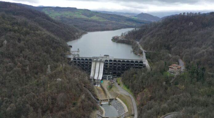 Nutrire il futuro: l’acqua come fonte dell’agroalimentare