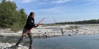 Bonifica Parmense, migliora la qualità delle acque della rete irrigua consortile