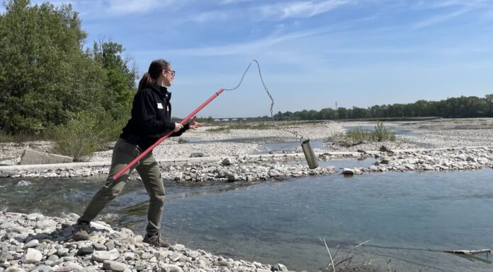 Bonifica Parmense, migliora la qualità delle acque della rete irrigua consortile