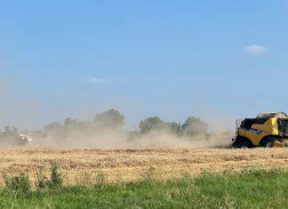 “Cereali e dintorni”. Le quotazioni 2025 della farina di soia