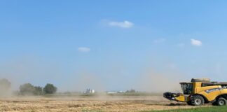 “Cereali e dintorni”. In attesa del prossimo USDA