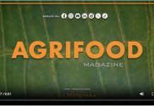 TG NEWS – AgriFood del 24 luglio 2024 – Video