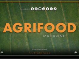 TG NEWS – AgriFood del 24 luglio 2024 – Video