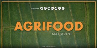 TG NEWS – AgriFood del 24 luglio 2024 – Video