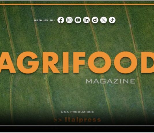 TG NEWS – AgriFood del 24 luglio 2024 – Video
