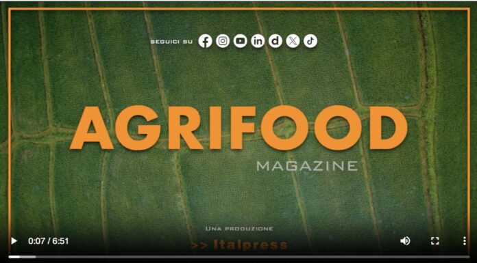 TG NEWS – AgriFood del 24 luglio 2024 – Video