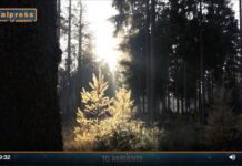 TG Ambiente magazine del 28 luglio in collaborazione con Agenzia Stampa Italpress.com (Video)