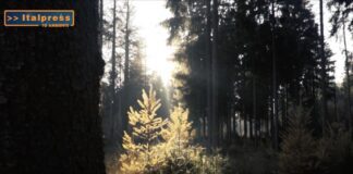 TG Ambiente magazine del 28 luglio in collaborazione con Agenzia Stampa Italpress.com (Video)