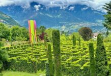 Reportage tra Vignaioli e Cantine del Burgraviato