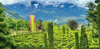 Reportage tra Vignaioli e Cantine del Burgraviato