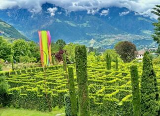 Reportage tra Vignaioli e Cantine del Burgraviato