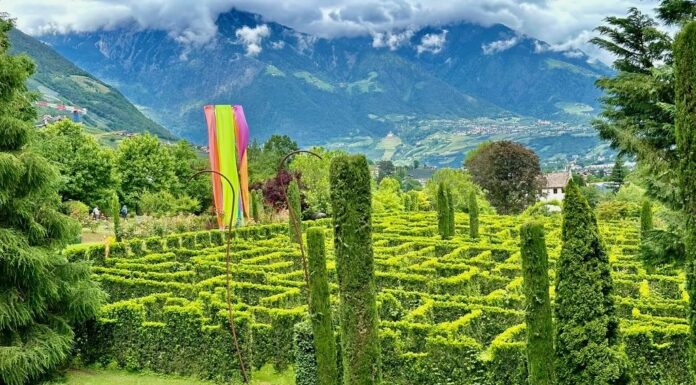 Reportage tra Vignaioli e Cantine del Burgraviato