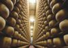Il Consorzio Del Parmigiano Reggiano annuncia gli ottimi dati del primo semestre 2024: crescono vendite totali (+15,1% rispetto a gennaio-giugno 2023), Italia (+12,9%) Ed Estero (+17,5)