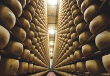 Il Consorzio Del Parmigiano Reggiano annuncia gli ottimi dati del primo semestre 2024: crescono vendite totali (+15,1% rispetto a gennaio-giugno 2023), Italia (+12,9%) Ed Estero (+17,5)