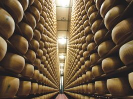 Il Consorzio Del Parmigiano Reggiano annuncia gli ottimi dati del primo semestre 2024: crescono vendite totali (+15,1% rispetto a gennaio-giugno 2023), Italia (+12,9%) Ed Estero (+17,5)