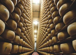 Il Consorzio Del Parmigiano Reggiano annuncia gli ottimi dati del primo semestre 2024: crescono vendite totali (+15,1% rispetto a gennaio-giugno 2023), Italia (+12,9%) Ed Estero (+17,5)