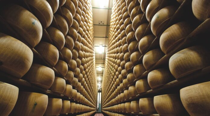 Il Consorzio Del Parmigiano Reggiano annuncia gli ottimi dati del primo semestre 2024: crescono vendite totali (+15,1% rispetto a gennaio-giugno 2023), Italia (+12,9%) Ed Estero (+17,5)