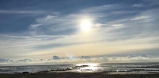 Ultim’ora! D’estate fa caldo!