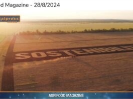 TG NEWS – AgriFood del 28 agosto 2024 – Video