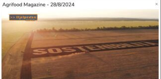 TG NEWS – AgriFood del 28 agosto 2024 – Video