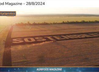 TG NEWS – AgriFood del 28 agosto 2024 – Video