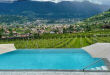 Reportage tra Vignaioli e Cantine del Burgraviato