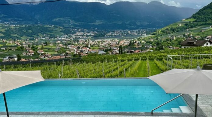 Reportage tra Vignaioli e Cantine del Burgraviato
