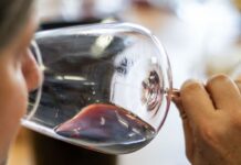 Pubblicata la guida “The WineHunter Award 2024” che premia le eccellenze enogastronomiche