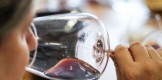 Pubblicata la guida “The WineHunter Award 2024” che premia le eccellenze enogastronomiche