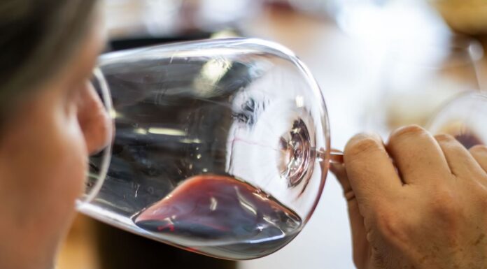 Pubblicata la guida “The WineHunter Award 2024” che premia le eccellenze enogastronomiche