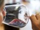 Pubblicata la guida “The WineHunter Award 2024” che premia le eccellenze enogastronomiche