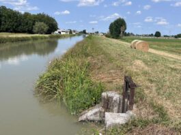 Emilia Centrale, stagione irrigua 2024 iniziata prima e terminata dopo