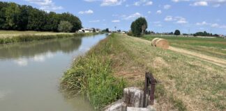 Emilia Centrale, stagione irrigua 2024 iniziata prima e terminata dopo